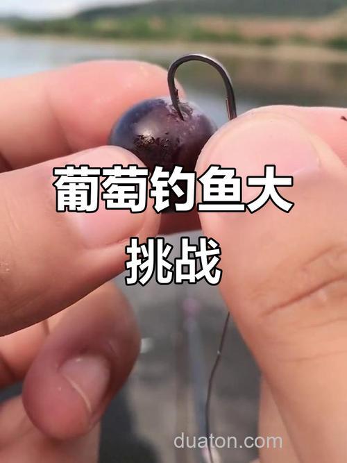 饵料里加葡萄糖钓鱼效果怎么样?