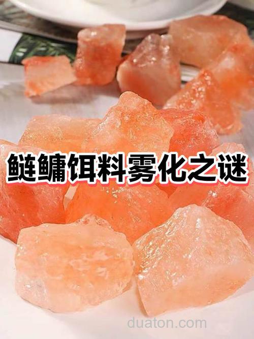 浮钓鲢鱼的饵料要不要家拉丝粉?不家雾化太快怎么办?