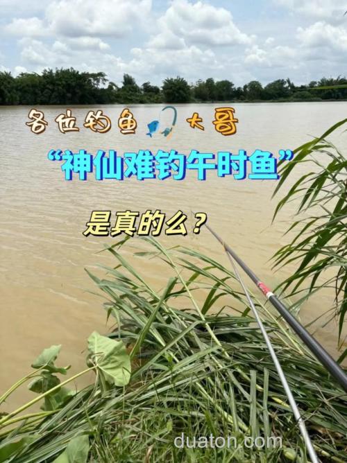 神仙难钓午时鱼是什么意思?