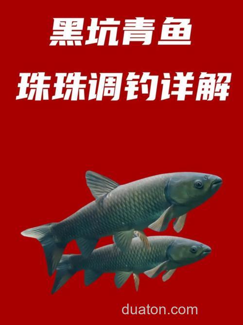 黑坑珠珠钓草鱼绝招?