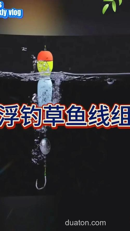 路亚钓法能在水库里钓到鲤鱼和草鱼吗?