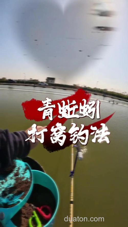 秋钓鳊鱼的技巧及蚯蚓饵的加强用法