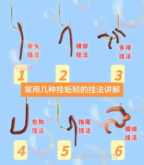 蚯蚓如何钓鱼?