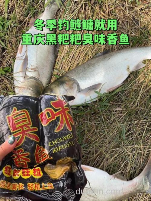 鲢鳙黑粑粑是怎样自制的?