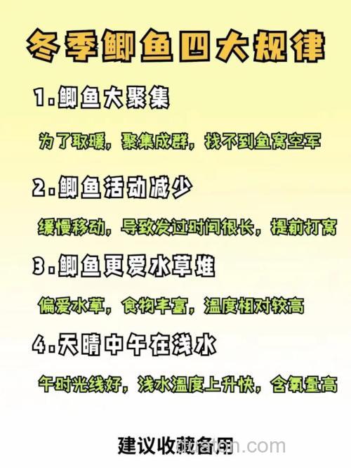 冬季竞技钓鲫鱼··需要注意哪些问题?