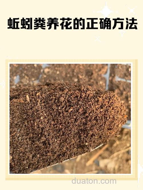 豆腐渣养蚯蚓配方？