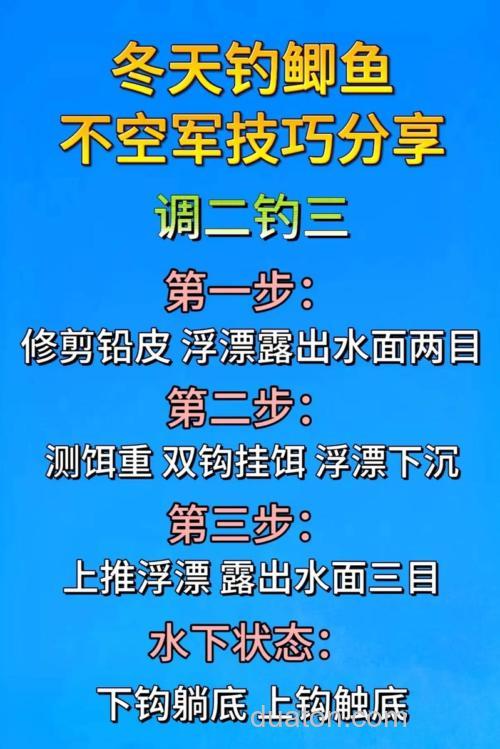 怎么钓鲫鱼才不会空军