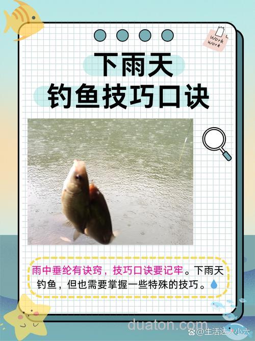 下雨天钓鱼行不行?下雨天钓鱼技巧口诀有哪些?
