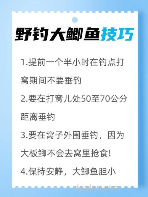 高人野钓鲫鱼技巧(高人野钓鲫鱼技巧和方法)