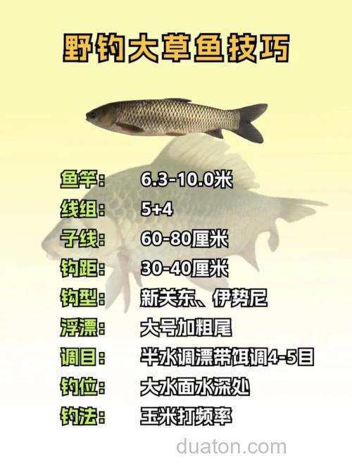 十几度气温适合钓草鱼吗?