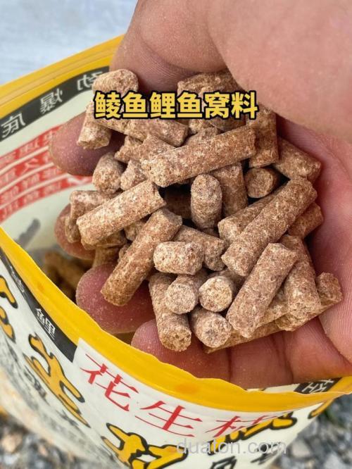 自制花生枯黄豆钓鲤鱼饵料配方？