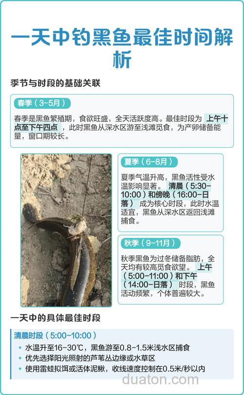 一天中钓黑鱼最佳时间是几点？