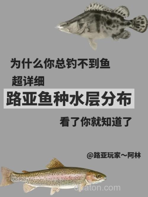 为什么你总是钓不到鱼?