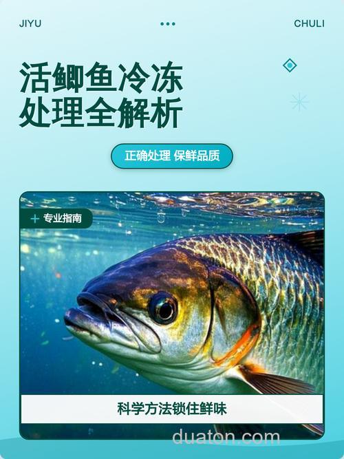 鲫鱼冷冻后,还可以吃吗?其肉质与冷冻前相比,口感上有何变化?