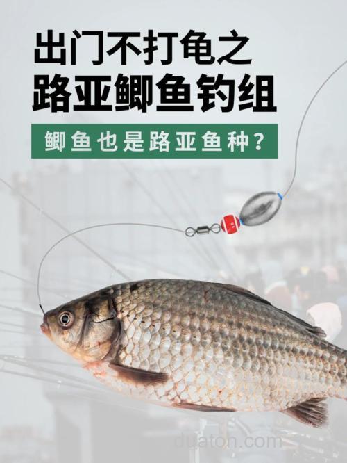 钓鲫鱼多久换一次饵？