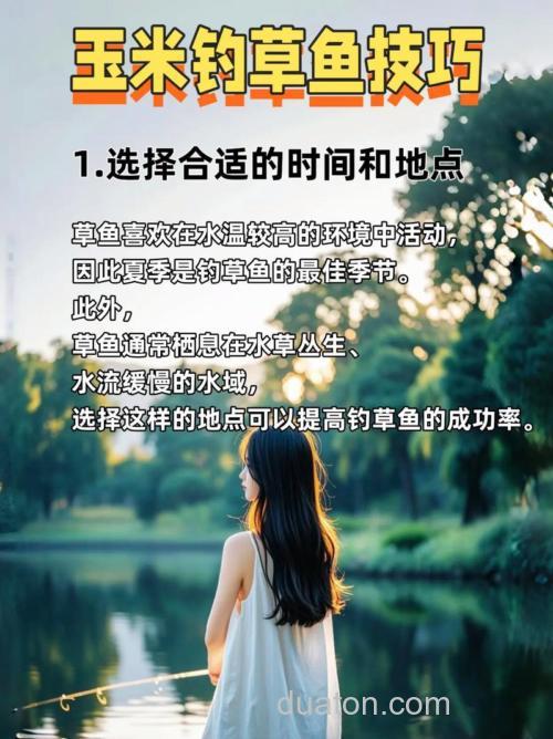 钓草鱼用玉米如何钓?