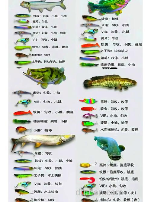 新三样饵料比例搭配？