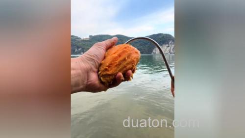 红薯发酸可以钓鱼吗?