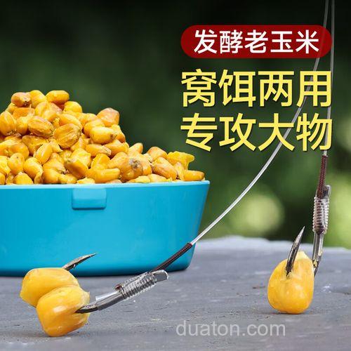 玉米粒能做钓鱼的窝料吗