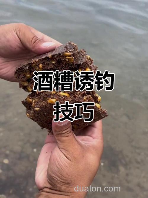 白酒泡稻谷打窝钓鲤鱼行不行
