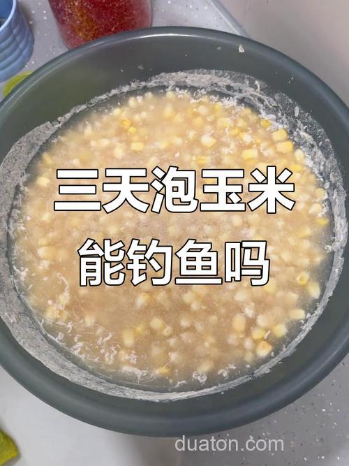 钓草鱼用玉米怎么泡?