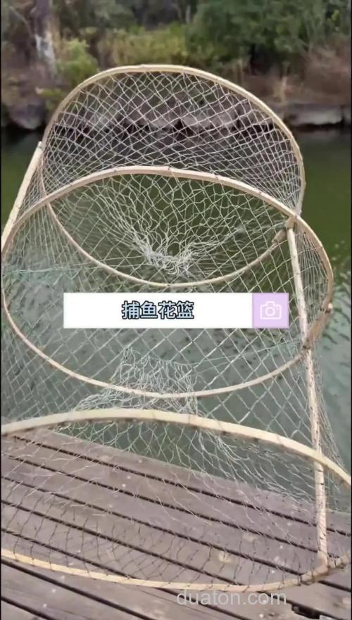 花篮网里面装什么饵料?