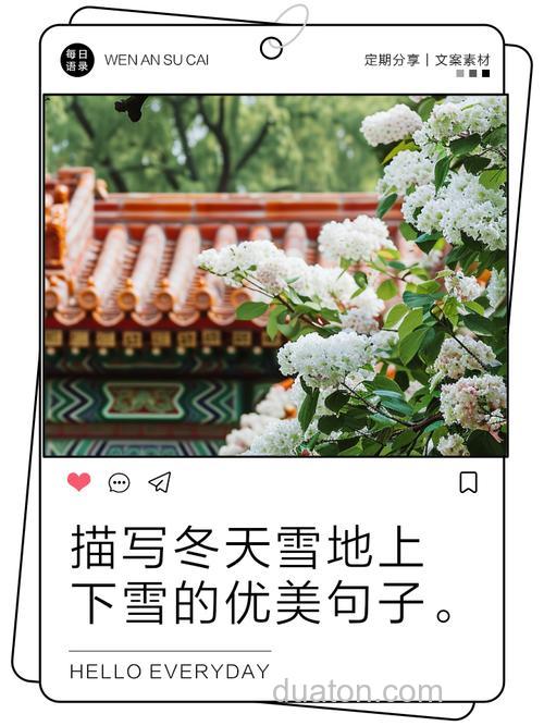 落雪无情冬未暖下一句?