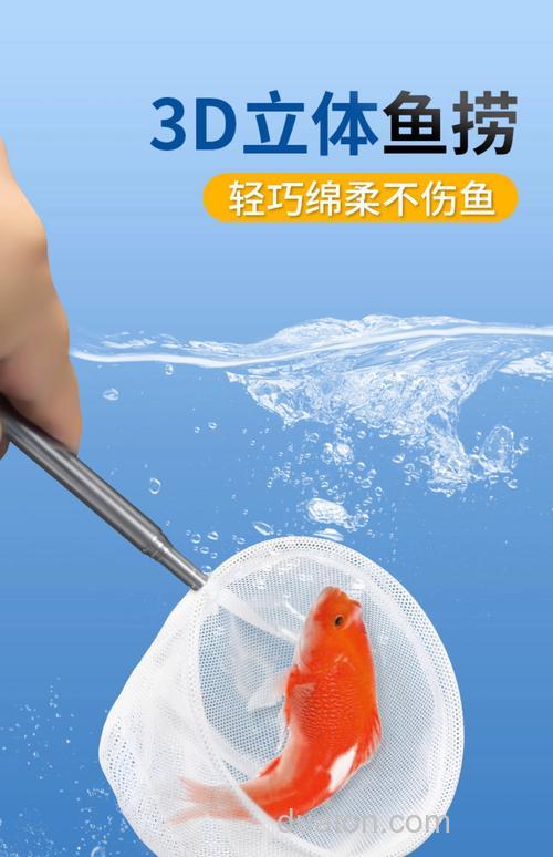 网鱼用什么做诱饵？