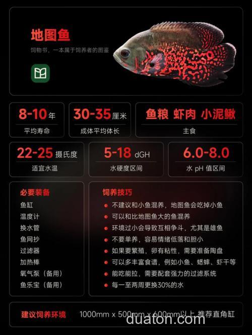 可以给地图鱼喂生猪肉吗?