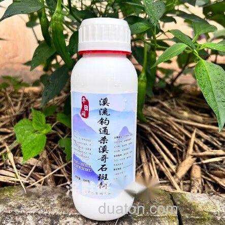 桃花鱼用什么饵料最好?