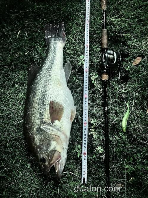 秋季BASS（鲈鱼）作钓的小细节
