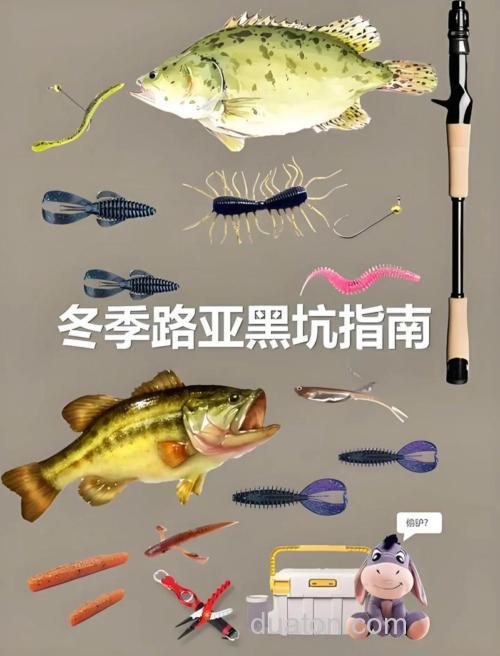 来,战个痛快!冬季路亚微型攻略