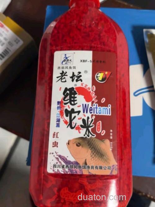 酒米钓鲤鱼好不好？
