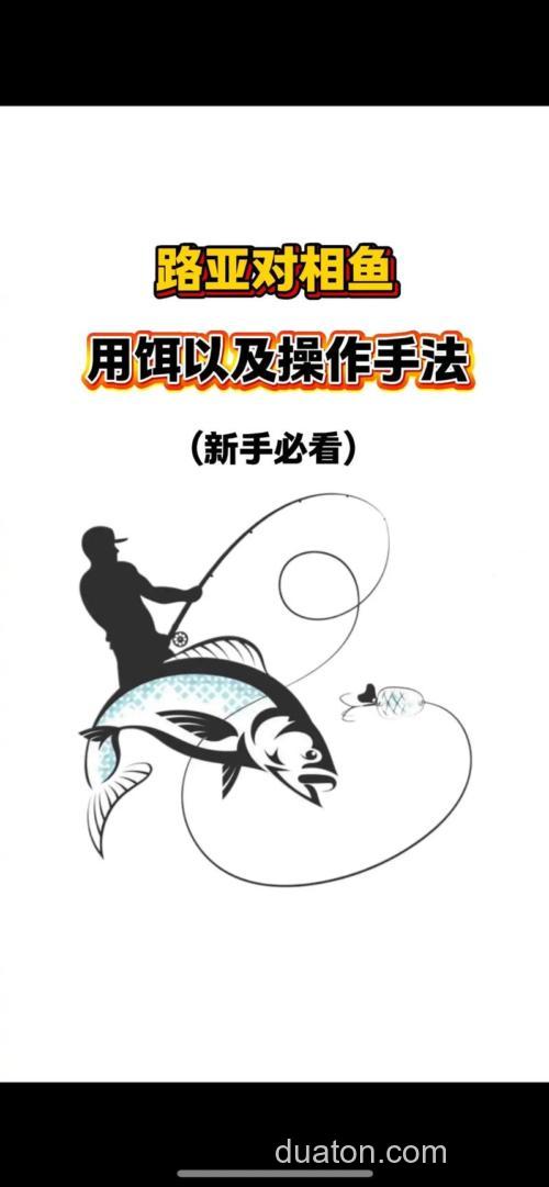 路亚漫谈:鱼是怎么发现路亚拟饵的?
