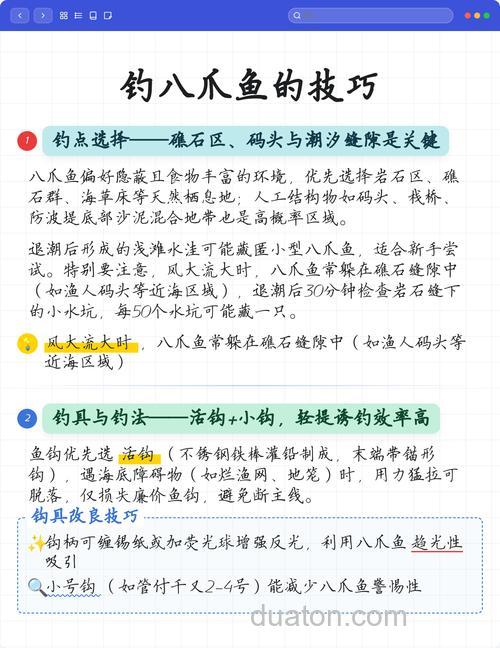 江苏沿海钓八爪鱼攻略,钓点选择及操作技巧大揭秘