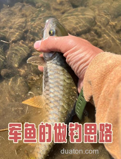路亚游钓军鱼(何氏棘魞)的心得体会