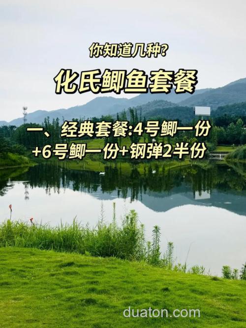 鲫鱼套餐和什么饵搭配最好?