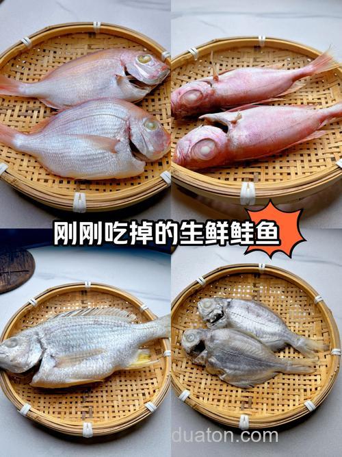 哪种鱼比较喜欢吃米饭?