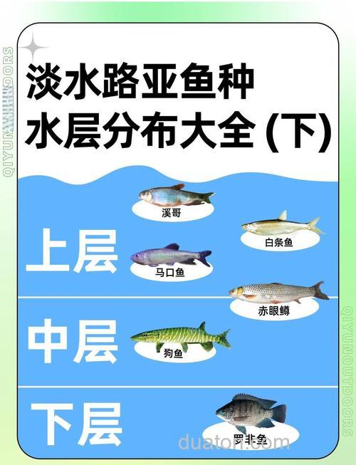 路亚钓经验:水层与水温的差异以及影响垂钓的因素