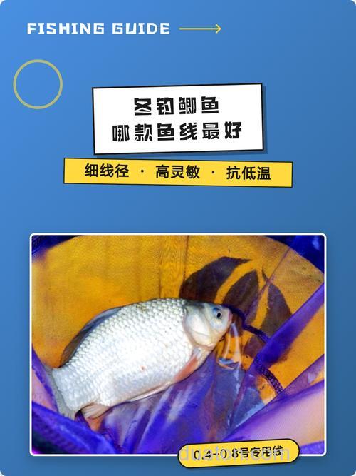 钓鲫鱼用什么鱼线最好