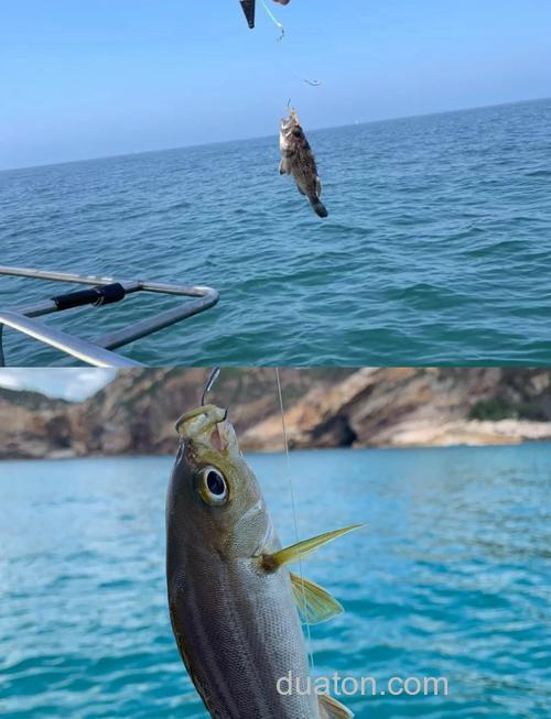 海钓入门必看！掌握这些基础技巧，少走弯路享乐趣