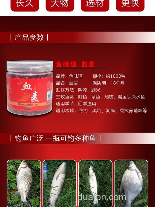 野生塘角鱼用什么料打窝?