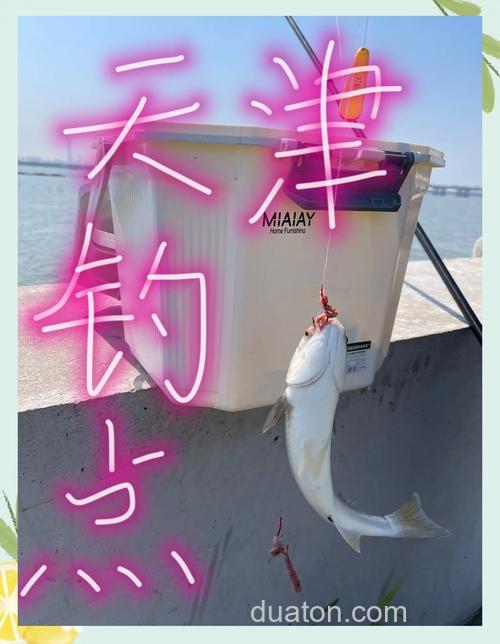 天津海钓打窝超关键!掌握技巧提升上鱼概率,速看实用方法