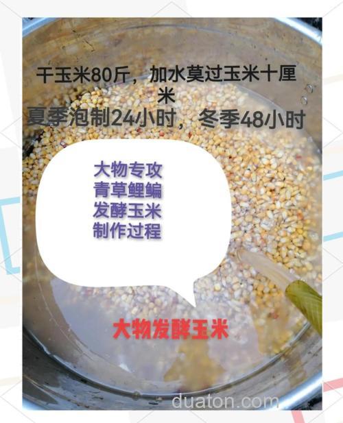 玉米饵料泡制配方大全自制