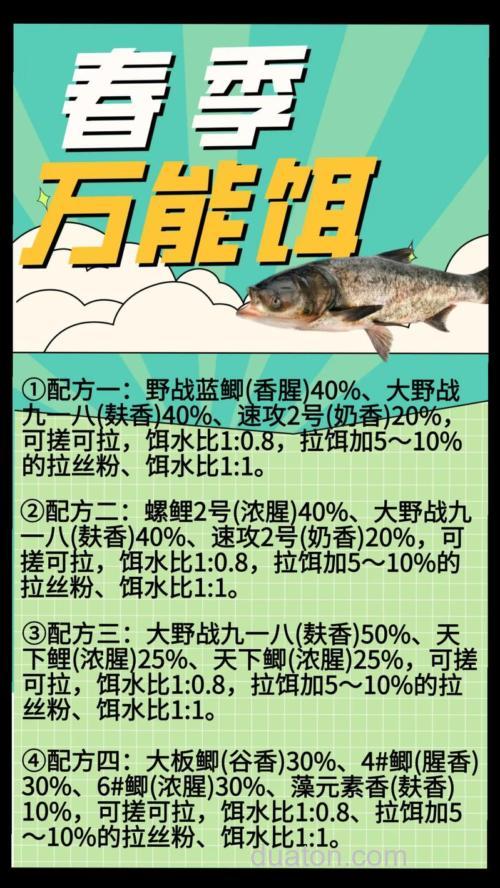 春季钓鲤鱼:这些饵料最有效,让你轻松收获丰硕!