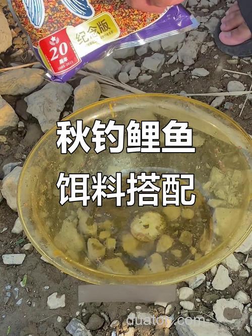 螺鲤三号配什么好用？