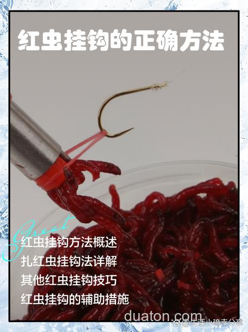 红虫怎么挂钩——浅说红虫的使用