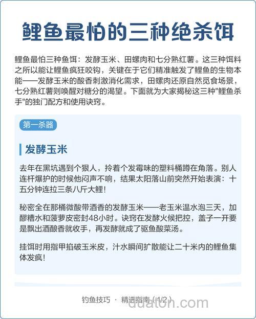 鲤鱼最怕三种饵?