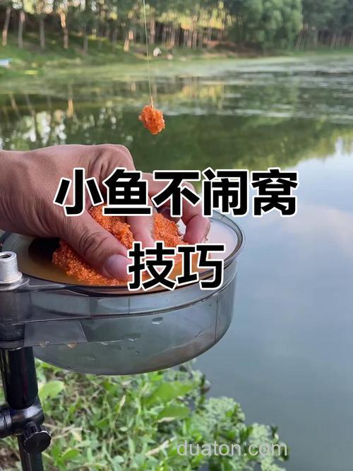 怎么浮钓鲫鱼?怎么防止小鱼闹窝?小弟跪求