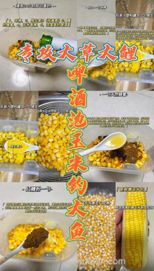 怎么用玉米粒泡酒制作鱼食